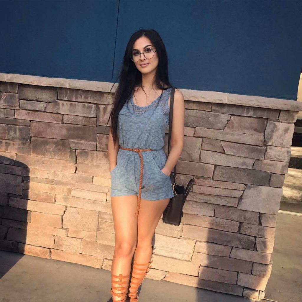 What You Might Not Have Known About Sssniperwolf And Was She Involved In Porn Chart Attack