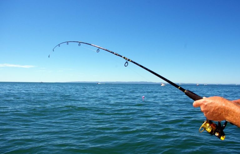 Best Fishing Sites in Canada