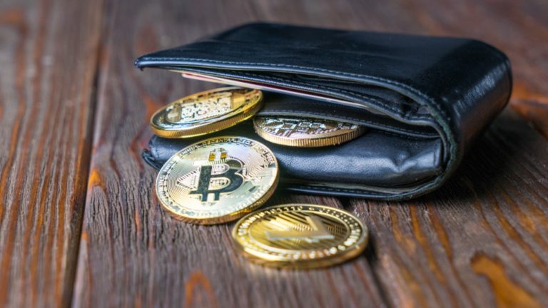 Keep Your Cryptocurrencies Safe With Virtual Wallets