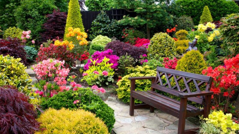 What you need for a perfect garden