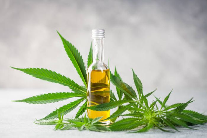 5 Benefits And Uses Of Full Spectrum CBD Oil – 2023 Guide