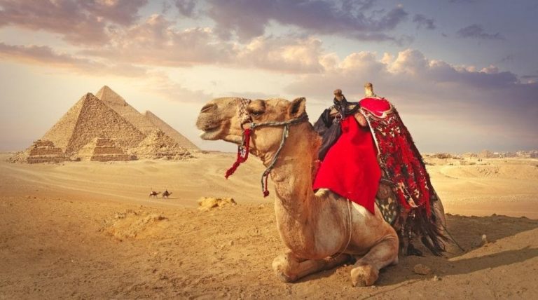 Planning A Holiday to Egypt? Follow This Travel Guide!