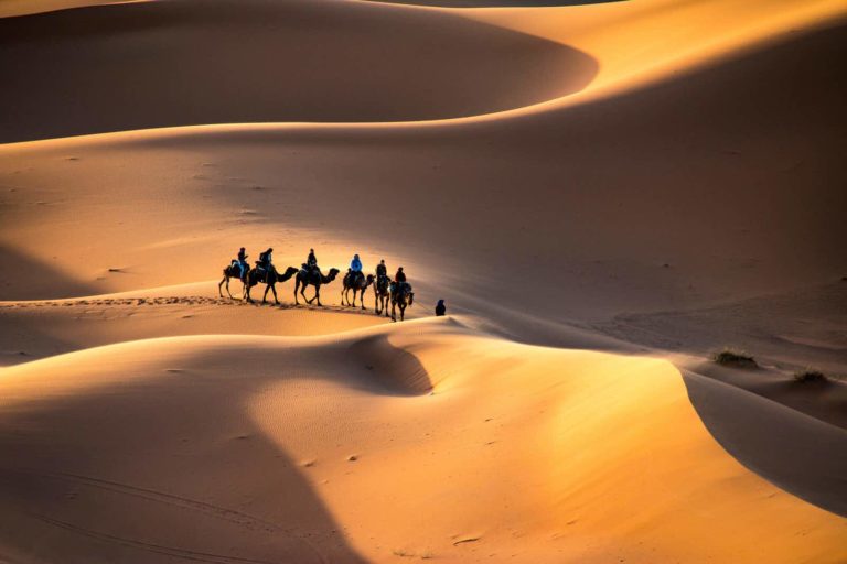 Travel Tips for Visiting the Desert