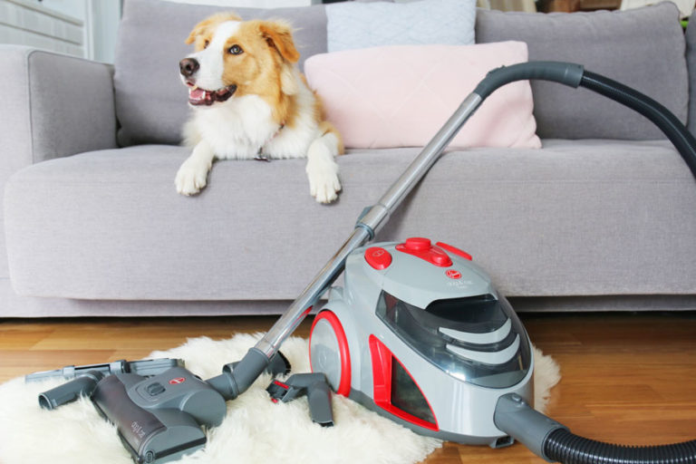 4 Considerations When Buying a Pet Vacuum Cleaner 2023