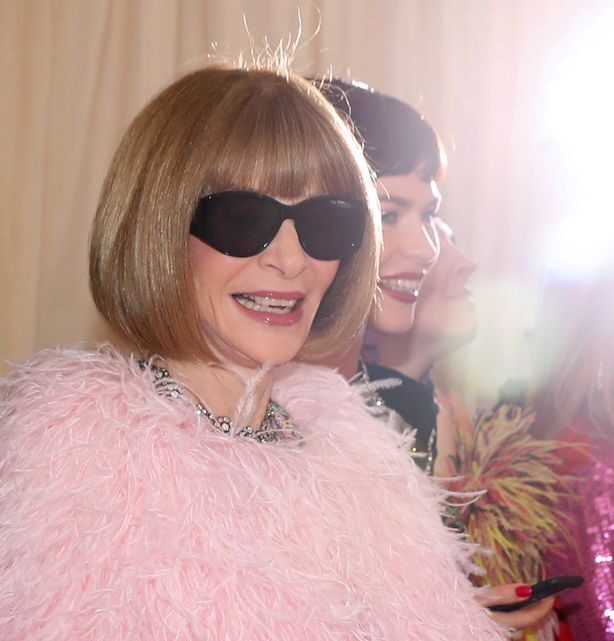 Anna Wintour Revealed One Person She Will Never Invite To Met Gala Again
