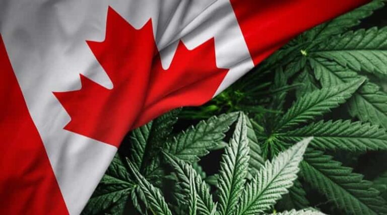 Cannabis Act in Canada| Then & Now!