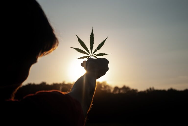 A Beginner’s Guide to Use Marijuana Safely in 2023
