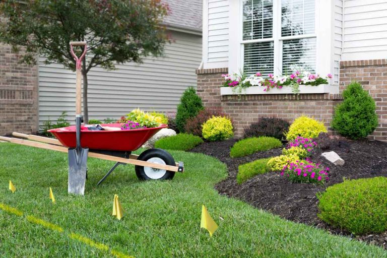 The Essential Elements of Water Saving Landscaping