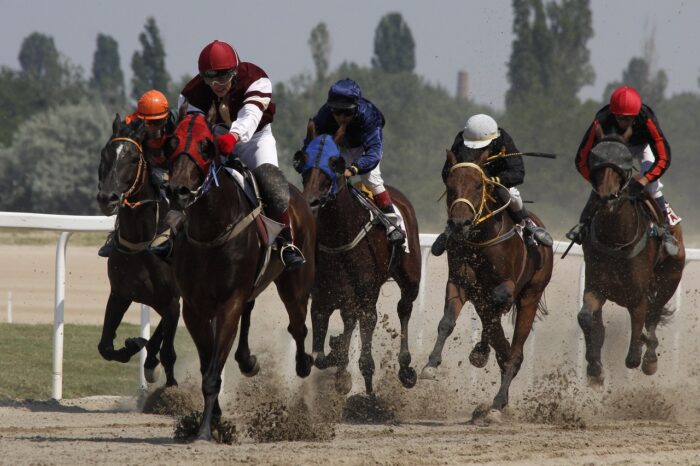 Comprehending Horse Racing: A Fast Information