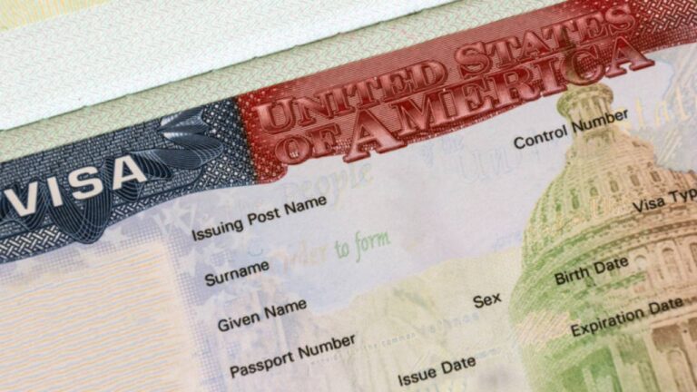 What is Temporary Protected Status in Immigration?