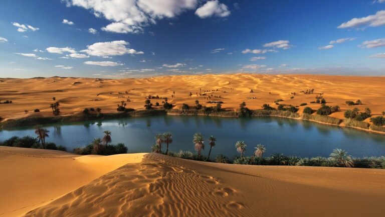 Discovering the Mystical Beauty of Egypt’s Sahara, Oases, and Deserts