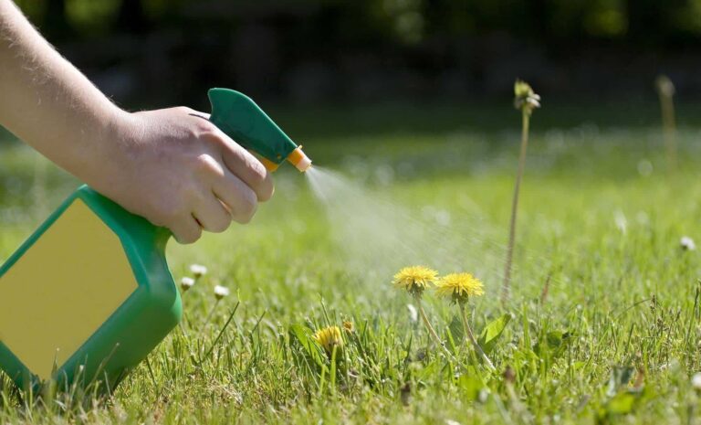 How to Get Rid of Weeds Naturally: Homemade Weed Killer Recipes & Techniques