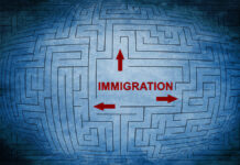 Navigating The Immigration Maze: Why You Need a Canadian Consultancy